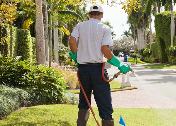 About Rupert WV Pest Control